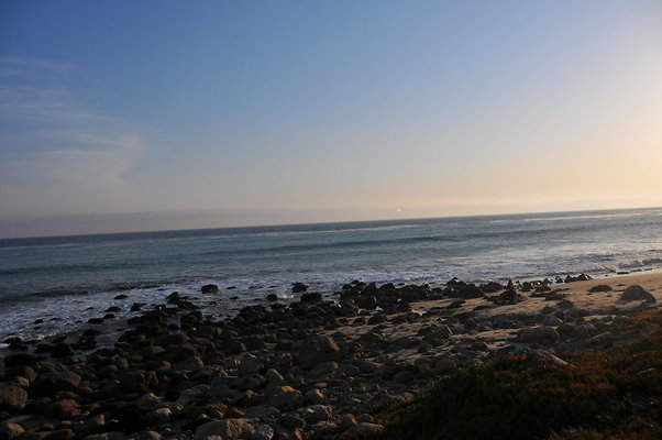 DSC 2394