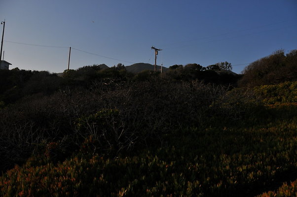 DSC 2396