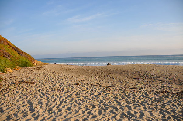 DSC 2290