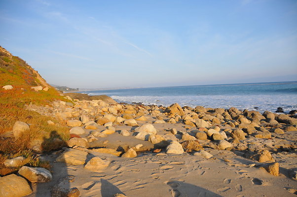 DSC 2348