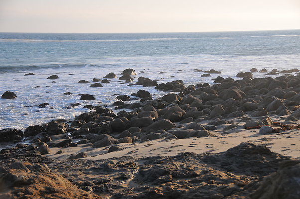 DSC 2374