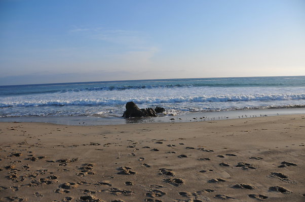 DSC 2300