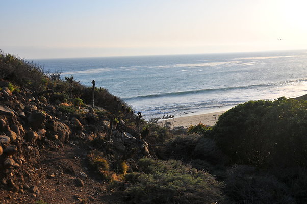 DSC 2419
