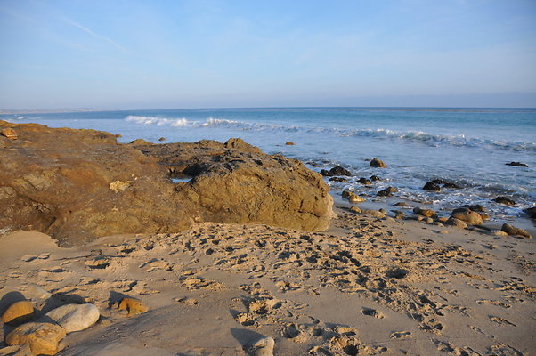 DSC 2358