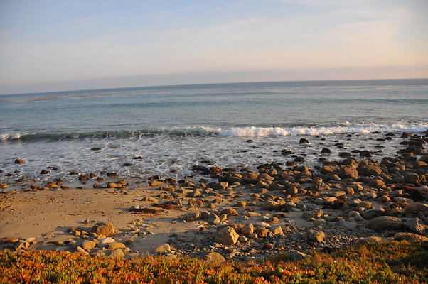 DSC 2403