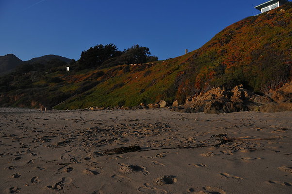 DSC 2326