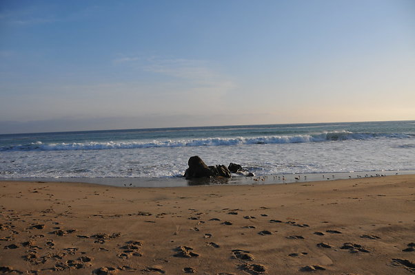 DSC 2303