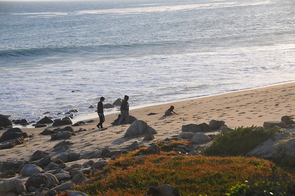 DSC 2406