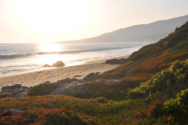DSC 2400