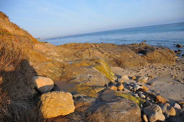 DSC 2363