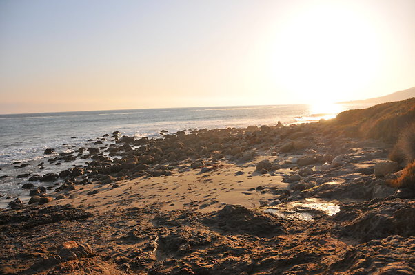 DSC 2376
