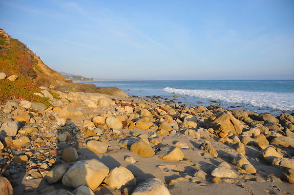DSC 2350