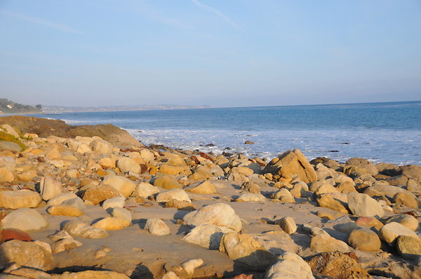 DSC 2349