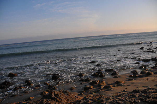 DSC 2381