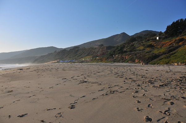 DSC 2325