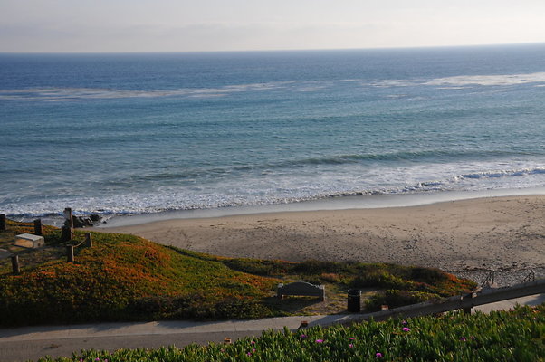 DSC 2218