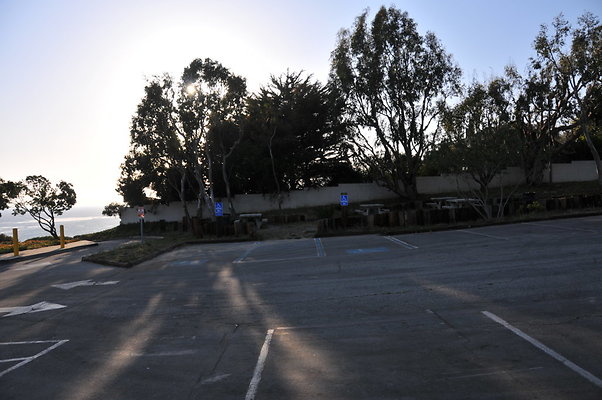 DSC 2212
