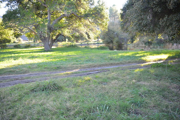DSC 7647