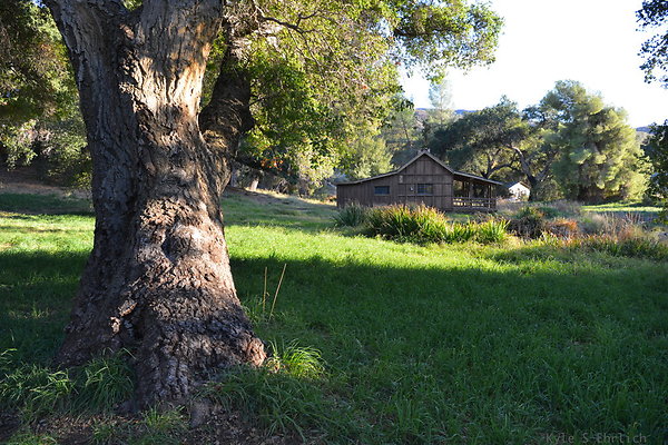 DSC 7740
