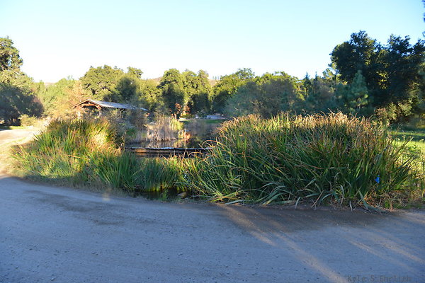 DSC 7875