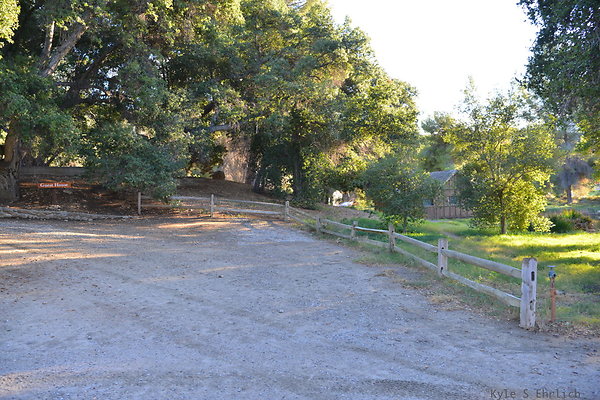 DSC 7771