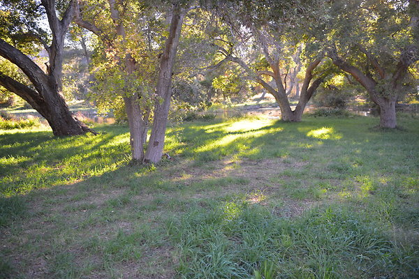 DSC 7682