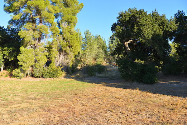 DSC 7823