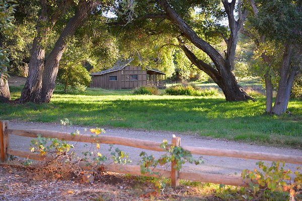 DSC 7661