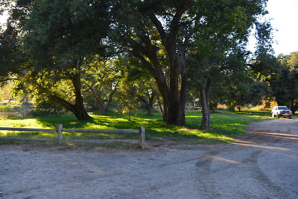 DSC 7779