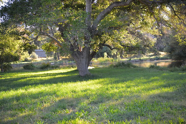 DSC 7653