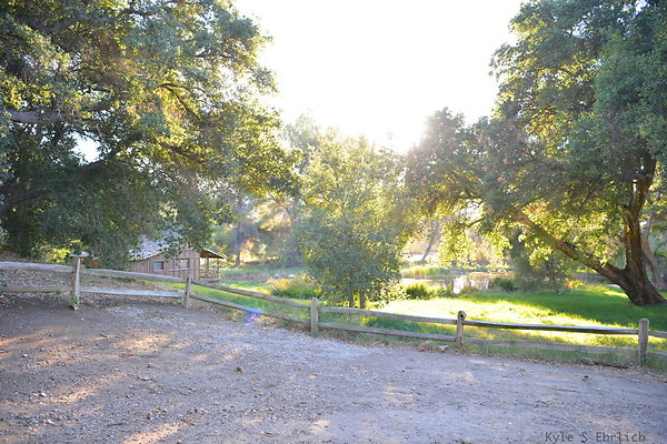 DSC 7867