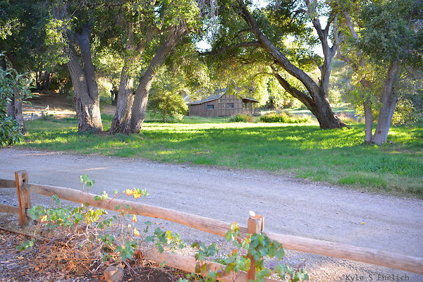 DSC 7669
