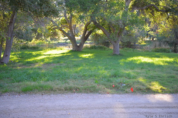 DSC 7678