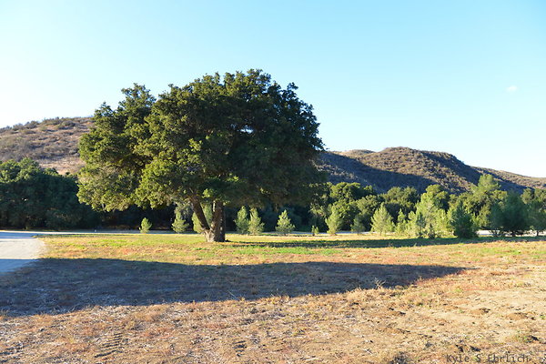 DSC 7820