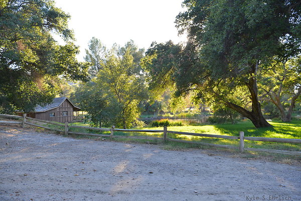 DSC 7778