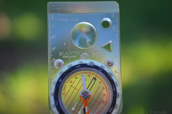 DSC 7734