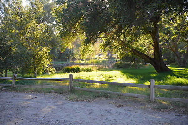 DSC 7782