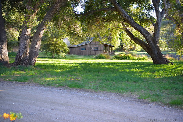 DSC 7670