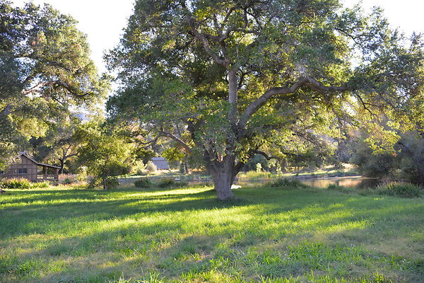 DSC 7655