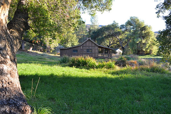 DSC 7741