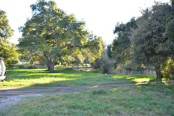 DSC 7643
