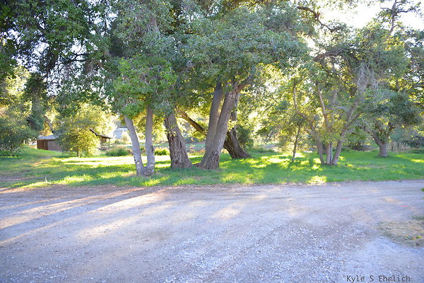DSC 7807