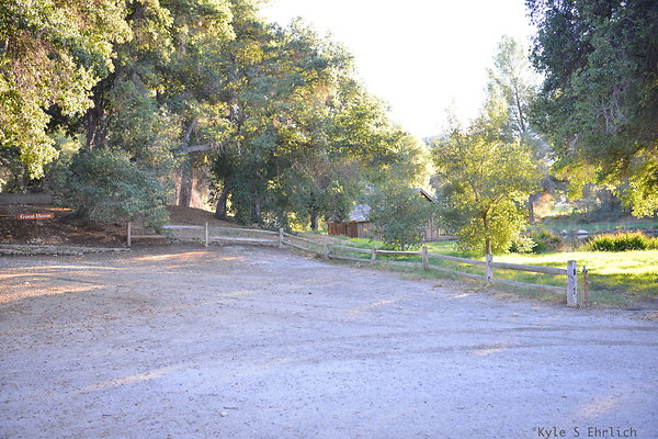 DSC 7845