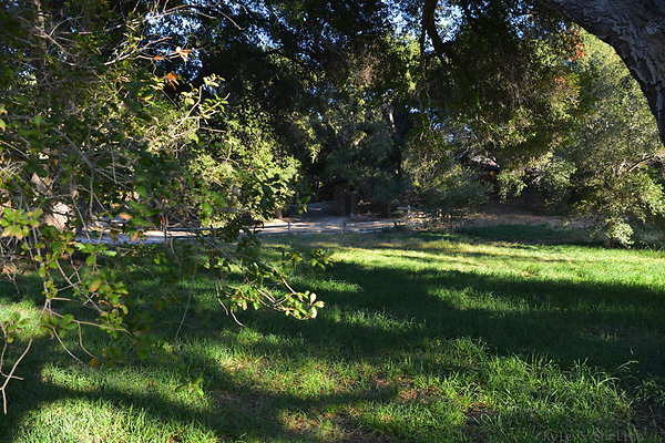 DSC 7737