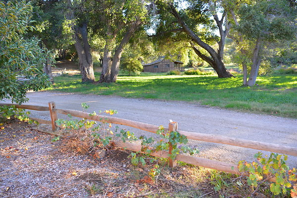 DSC 7668