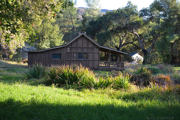 DSC 7742