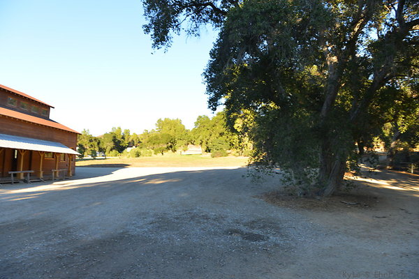 DSC 7767
