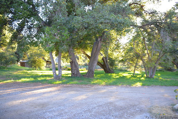 DSC 7811