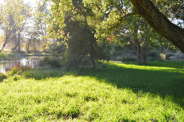 DSC 7761