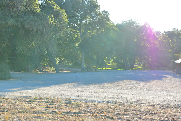 DSC 7814